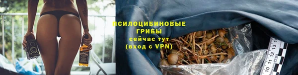 не бодяженный Аркадак