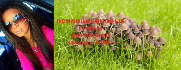 мет Армянск